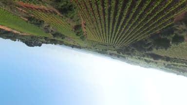 Club de Fútbol (producción)