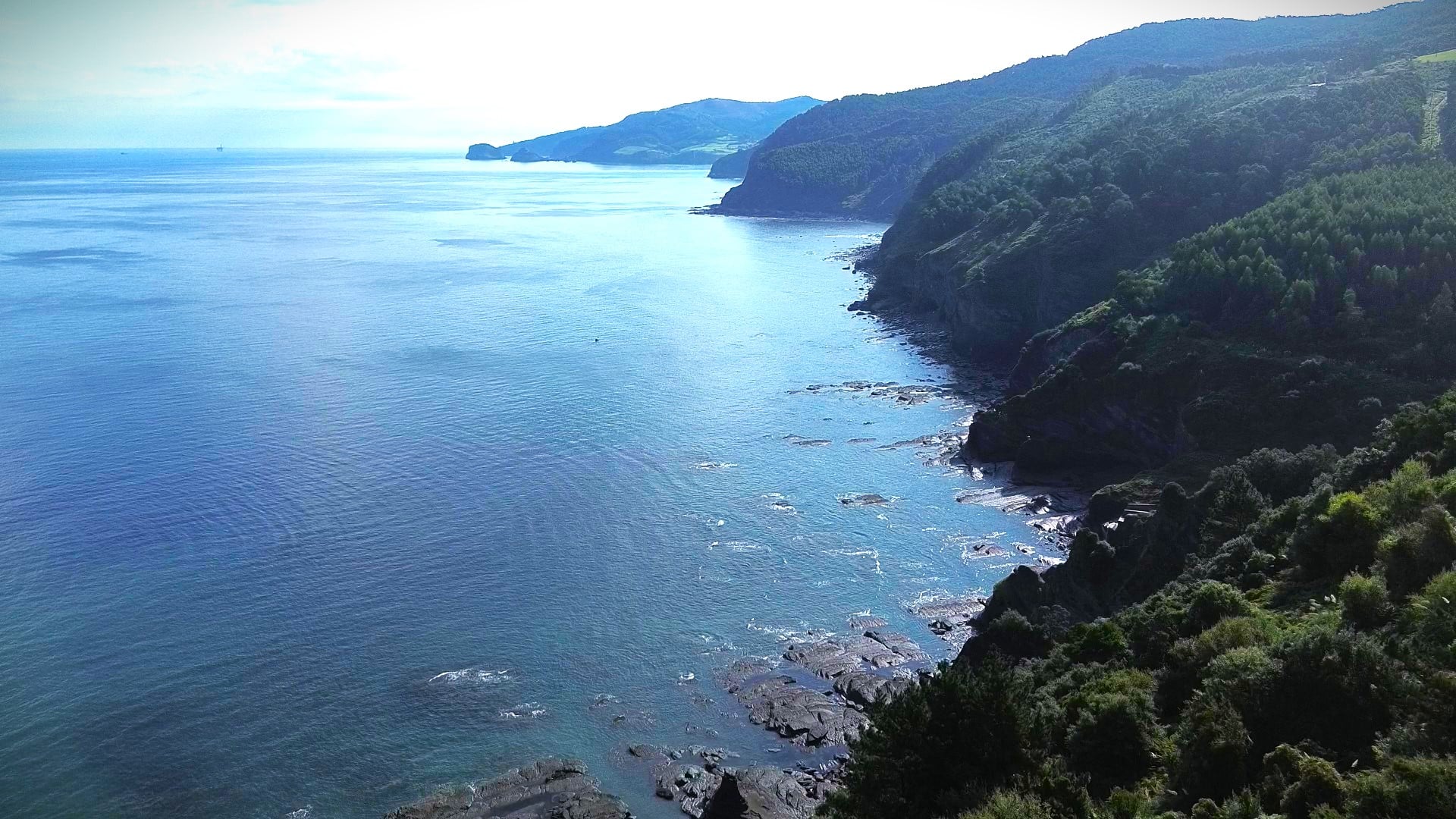 Una costa de acantilados y bosque vista desde el aire